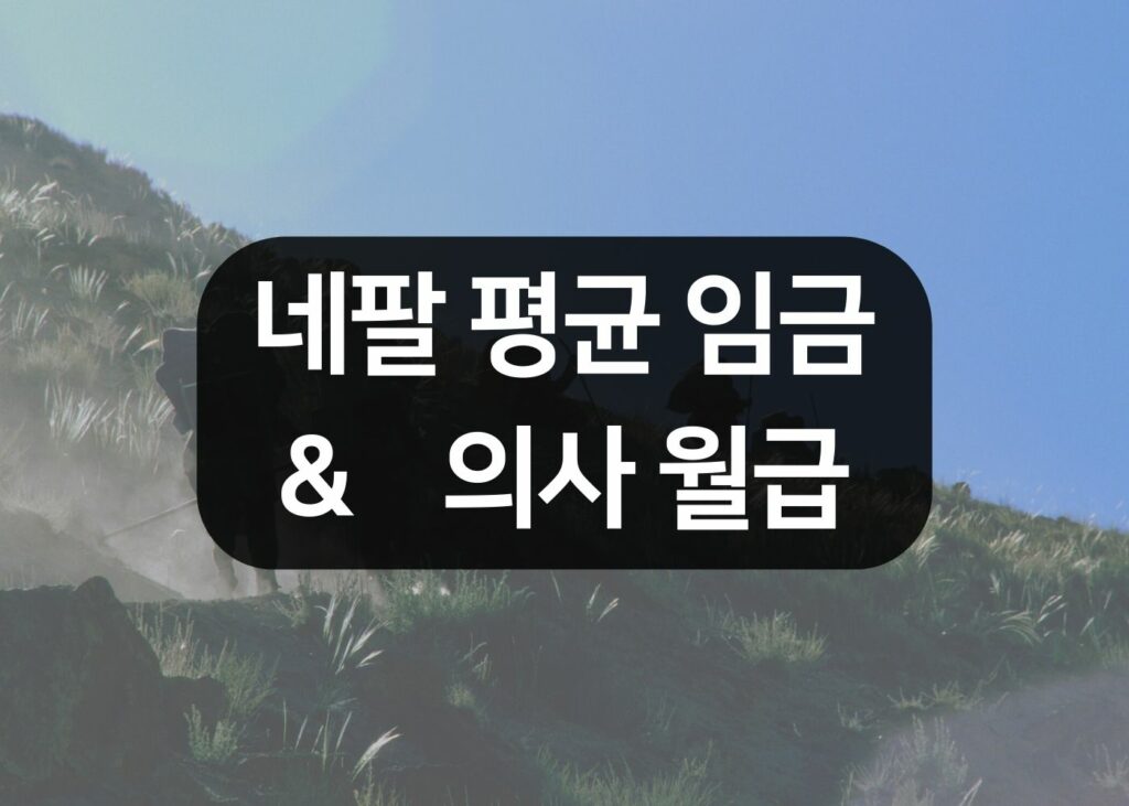 네팔 평균 임금 & 의사 월급