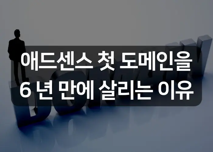 애드센스 첫 도메인을 6년 만에 살리는 이유