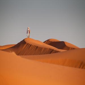 평균-온도