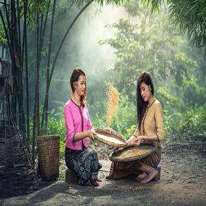 사회적-변화