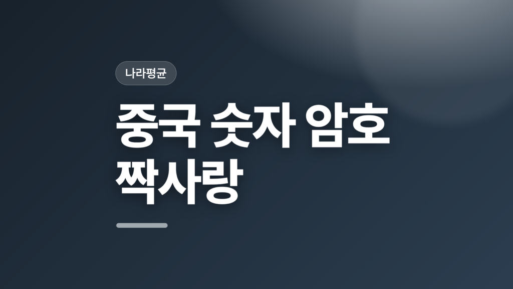 thumbcard 중국 숫자 암호 짝사랑 v2