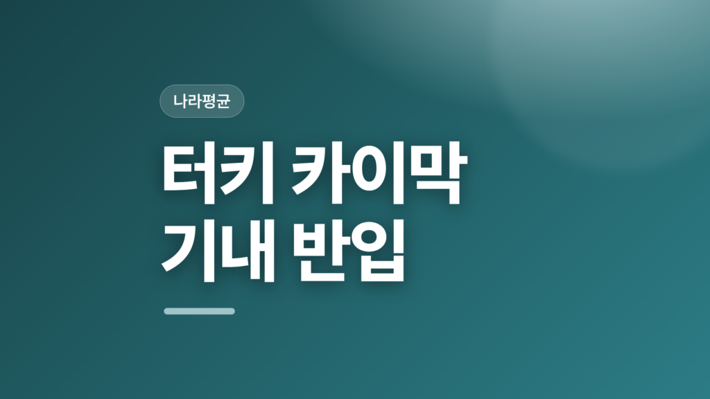 thumbcard 터키 카이막 기내 반입 v2
